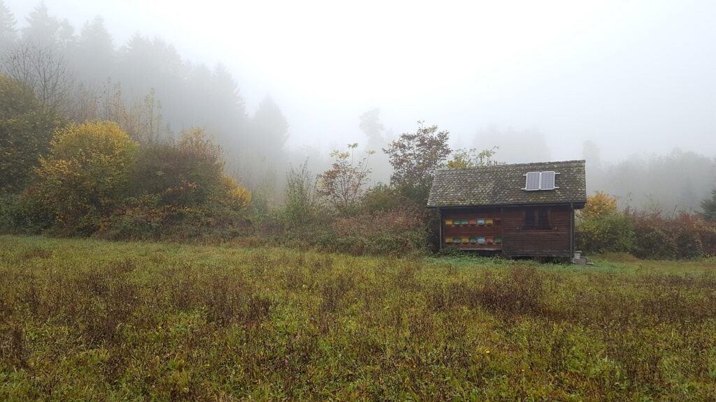 fog, forest, glade, nature, hut, beehive, fall, solar cell, solar panel