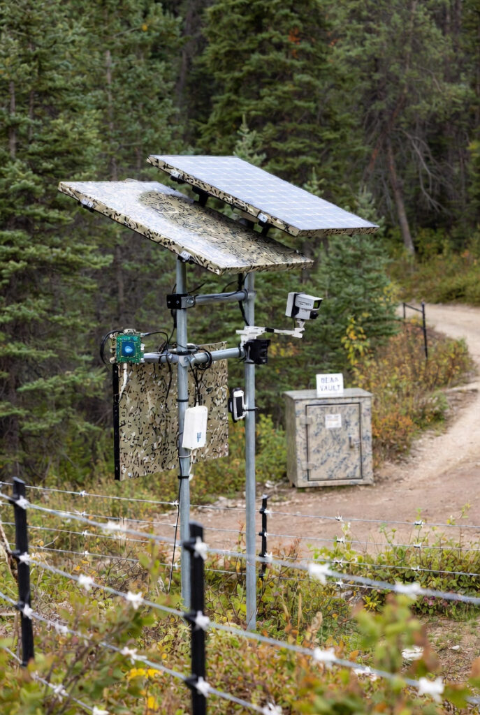 The Migration Standard: Wildlife Tracking Solar for Canadian Conservation and Field Research 0db28073 44e4 4830 9c4d 49e85f9f59a2