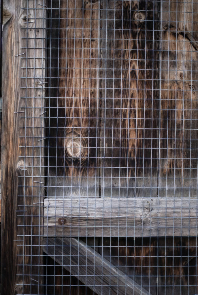 e881fb97 bba3 4433 9754 9f2de99c7971