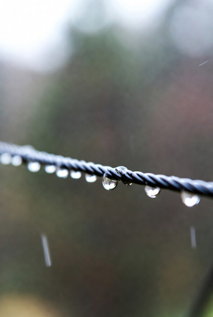 f7685b4d 9f79 42e2 b32b a290dd3e603b